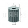 MAXGEAR D2R 6000k Xenon lempute