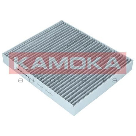Kamoka salono filtras...