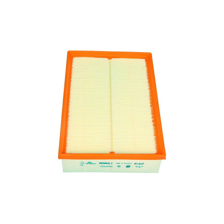 OEM oro filtras  165462604R...