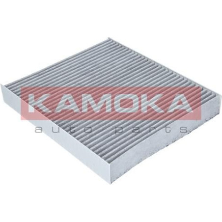 Kamoka salono filtras...