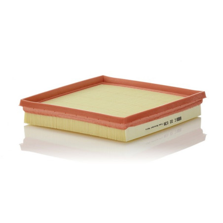 MANN  oro filtras C22038 -...