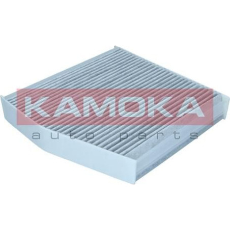 Kamoka salono filtras...