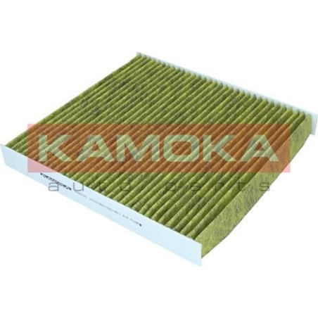 Kamoka antibakterinis...