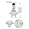 Narva HB3 12V/60W (USA 9005) halogeninė lempute (1vnt)