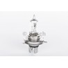 Behr Hella D4S 4300k Xenon lempute