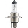 Magneti Marelli D4S 4300k Xenon lempute