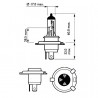 Bosch H4 12V/60/55W Pure Light lempute (1vnt)