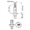 Philips H4 12V/60/55W +130% X-treme Vision lempute (1vnt)