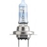 Bosch H1 12V/55W Pure Light lempute (1vnt)